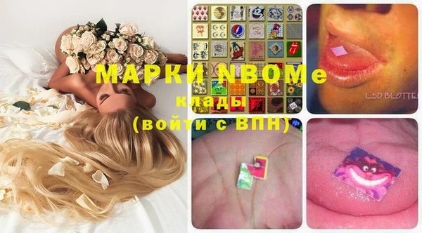 гидропоника Магас