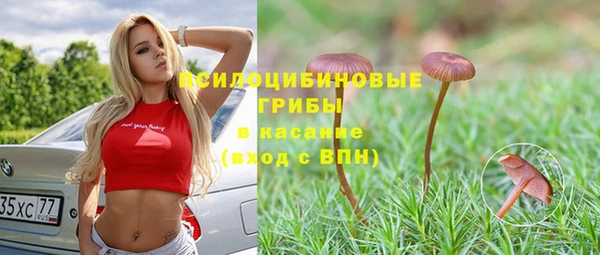 гидропоника Магас
