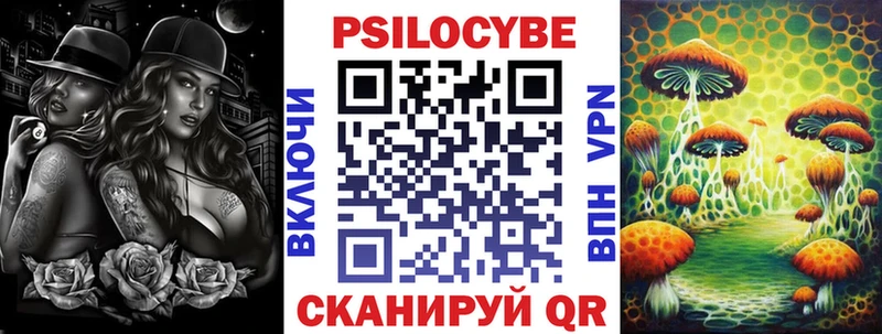 Псилоцибиновые грибы Cubensis  Никольск 